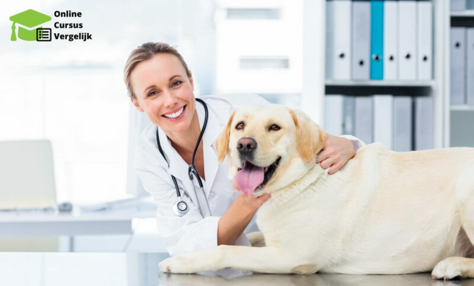 Opleiding dierenartsassistent (paraveterinair) volgen? Bekijk de opties!