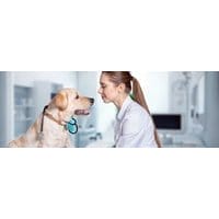 Basisopleiding Dierenartsassistent Paraveterinair Laudius